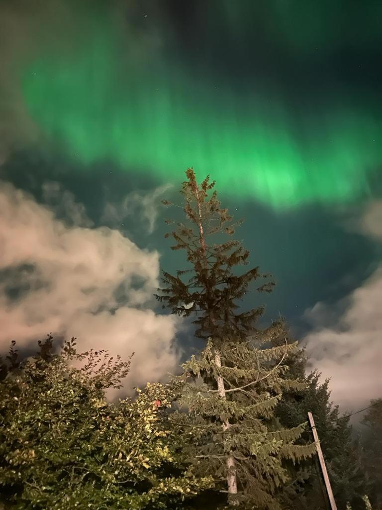 Near To Center Of * Tromso